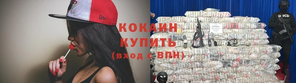 гидра Белоозёрский