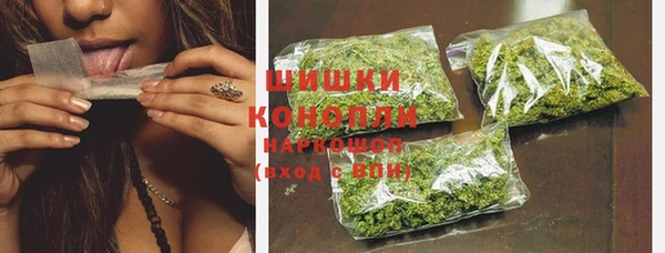 гидра Белоозёрский